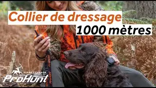 Notice collier de dressage 1000 m&egrave;tres ProHunt : tout savoir en 5 minutes