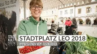Das war der Stadtplatz LEO 2018