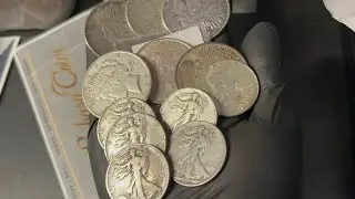 Silver update!!! 2026 - 15 years of experience + mystery unbox! ￼