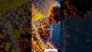 Brian Cox on Infinite vs Finite Life: Living in an Eternal, Fragile Universe #astronomy #timeexplora