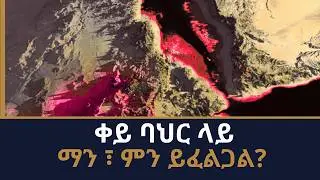 🚨 የቀይ ባሕር ወጥመድ እና አለም አቀፉ ቁማር | The Red Sea Trap The Race for Supremacy!