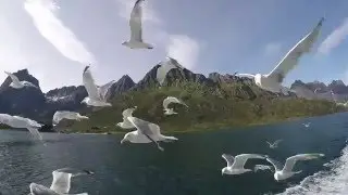 Norvegia & Lofoten 2016 - (Gopro Hero 4s)