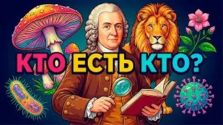 Систематика: Как биологи классифицируют всё живое? Карл Линней и 5 царств природы