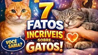 Ninguém Te Contou Isso: Fatos Incríveis da Vida de Gato (2025) #gatos