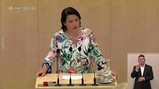 Nationalratssitzung vom 12.06.2019 Volksanwaltschaft Kinder und Jugendhilfe
