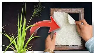 How to Make Paper from Grass at Home