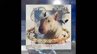 DeepGold - Truchos Prod. Resina