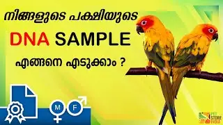 Bird DNA Testing Malayalam Video | കിളികളുടെ DNA എടുക്കുന്നതെങ്ങനെ? | DNA Sexing Birds