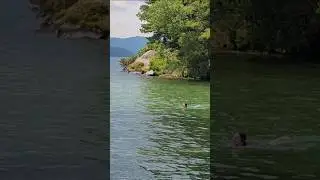 Lake George, NY #nature #Lake #힐링
