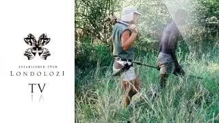 Leopard Queen - John Varty Interview # 5 - Londolozi