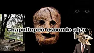 Algo no está bien en el Bosque de Chapultepec/ Relatos reales