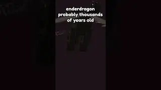 Enderdragon VS. Steve