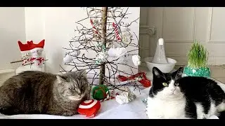 A DIY Christmas tree for cats
