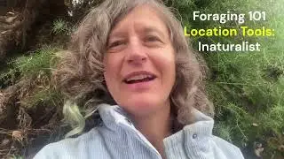 Foraging 101 - Tools for finding wild foods with Chef Robin Kort
