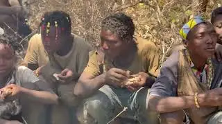 Incredible Hadzabe Warthog Hunt - Ancient Tribe's Wildest Parties | Life of Hunter Hadzabe - Part 2