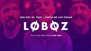 LoBoZ &bull; Purple Bee Groove Party