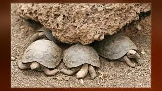 Gal&aacute;pagos National Park