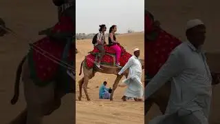 Sam Desert Jaisalmer 📍📍 camel safari