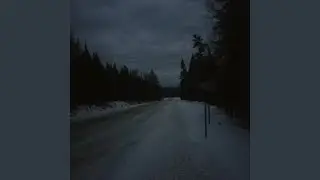 Ghost Moose