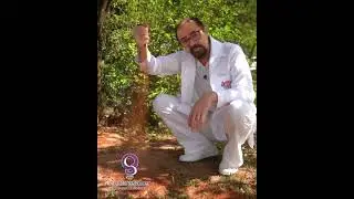 Akura a Alquimia dos Tchakras Adilson Howthep