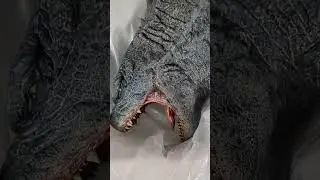 Godzilla vs Kong Prime 1 Gigantic Heat Ray  #godzilla #movie #film