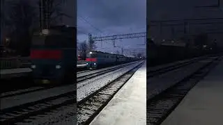 Синяя 2ТЭ116У-0054 с синими контами проезжает Сиверскую в закат #train #railway #поезд #2тэ116у #ржд