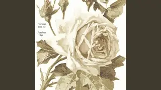 This Rose