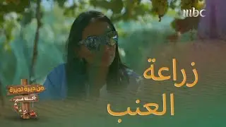 زراعة العنب مع الشيف سما في جنوب السعودية بمنطقة سبت العلايا