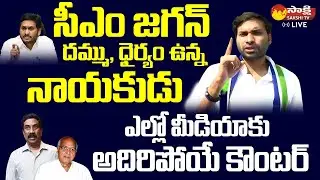 YSRCP Leader Devineni Avinash Strong Counter To Yellow Media | Ramoji Rao @SakshiTVLIVE