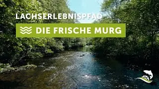 Lachs Erlebnis Pfad im Murgtal - die frische Murg stellt sich vor