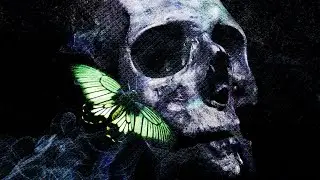 ALBUM REDESIGN - Steve Vai: Alien Love Secrets
