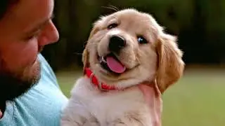 The Problem with Puppy Mills