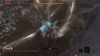 Isshin, The Sword Saint Hitless