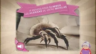 4 astuces pour &eacute;liminer les acariens de votre matelas