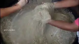 Deori Suje 