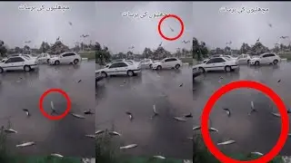 Machli ki Barish || Fish Rain