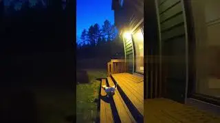 &ldquo;Tiny Dog vs HUGE Bear 😱🐶🐻 #FutureMindIntelligence #viralshorts #aivideo #sora