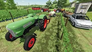 Farming Simulator 22 à l'ancienne | entretien des vignes, plantation de pdt & curage de fumier