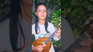 JULIO JARAMILLO - POPURR&Iacute; con la mandolina sonora de Camila Tornel 🎵