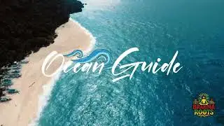 Brahma Roots &ndash; Ocean Guide [Official Lyric Video]