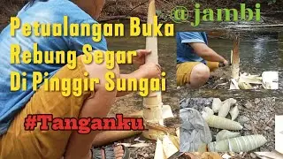 Petualangan Buka Rebung Segar di Pinggir Sungai #vlogalam #duniatumbuhan #rebung 