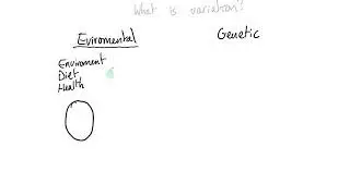 What is Variation?