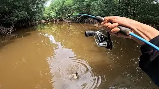 Sambaran Pertama Ikan Besar Rada Mengerikan