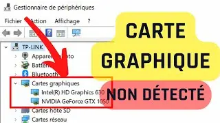 Carte Graphique non d&eacute;tect&eacute; dans le gestionnaire de p&eacute;riph&eacute;riques