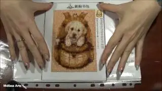 Diamond Painting  Broderie Diamand  Explication en francais