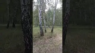 15 июля 2023 г.