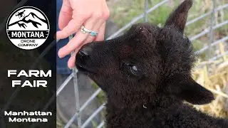 2024 Gallatin Valley Farm Fair | Manhattan, Montana