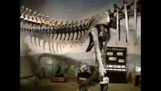 MUSEUM of ANCIENT LIFE  2/4  Lehi, Utah