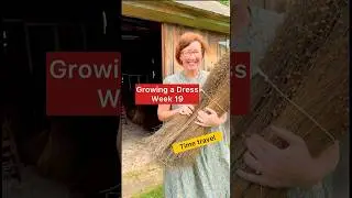 Growing a Dress Week 19