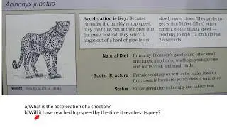 Horizontal kinematics - example 4 - physics